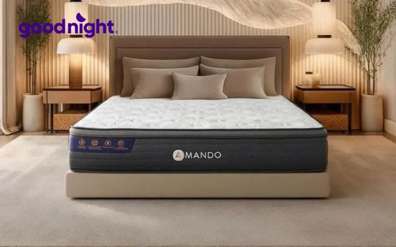 Nệm tốt cho người bị đau lưng Amando Elite Grand