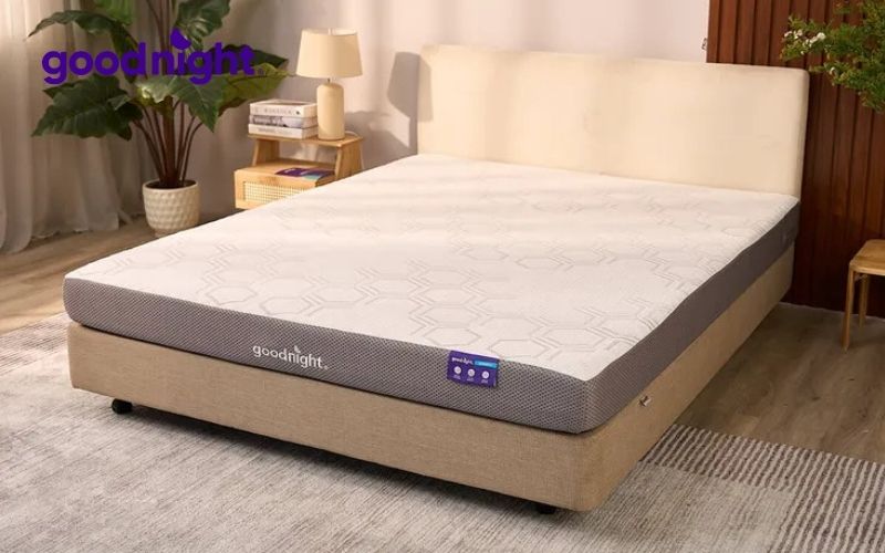 Nệm foam Goodnight Hachi 