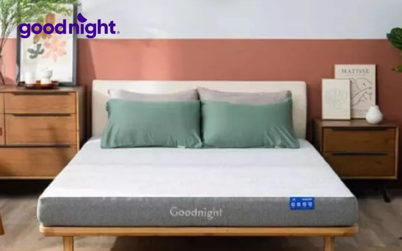 Top 10 mẫu nệm êm ái đang được nhiều người ưa chuộng hiện nay 4 Goodnight Hachi mang lại cảm giác êm ái và giúp giảm bớt áp lực lên cơ thể