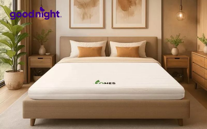 Top 10 mẫu nệm êm ái đang được nhiều người ưa chuộng hiện nay 9 Nệm cao su Gummi Latex 7 Zones nâng đỡ cơ thể linh hoạt với thiết kế 7 vùng hỗ trợ riêng biệt