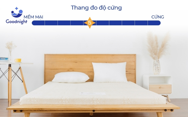 Top 5 loại nệm nên nằm để có sức khoẻ và giấc ngủ tốt nhất 4 Nệm foam Goodnight Eva an toàn tuyệt đối cho sức khỏe người sử dụng