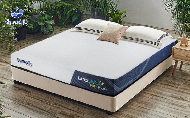 Đau lưng nằm nệm gì? 8 mẫu nệm tốt dành cho người đau lưng 9 Nệm cao su Dunlopillo Latex World Pure công nghệ sản xuất tiên tiến