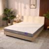 Nệm foam Goodnight Massage 2.0 (Hachi) giảm áp lực dày 15cm 16 Nệm foam Goodnight Massage 2.0