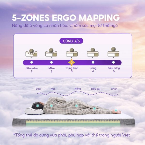 Nệm nâng đỡ 5 vùng