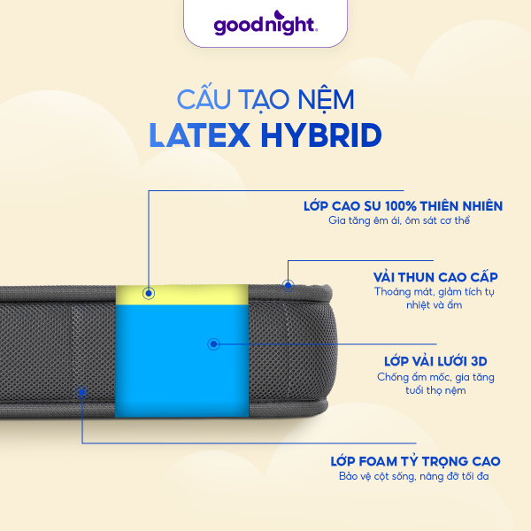 Công nghệ Hybrid Đa Tầng, Trải Nghiệm Nâng Đỡ Tối Ưu & Thoáng Khí Suốt Đêm