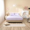 Bộ ga chun tencel cao cấp Goodnight