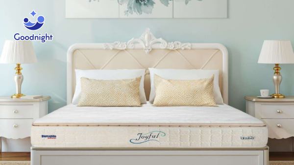 Danh sách 20 hãng nệm nổi tiếng chất lượng và uy tín nhất