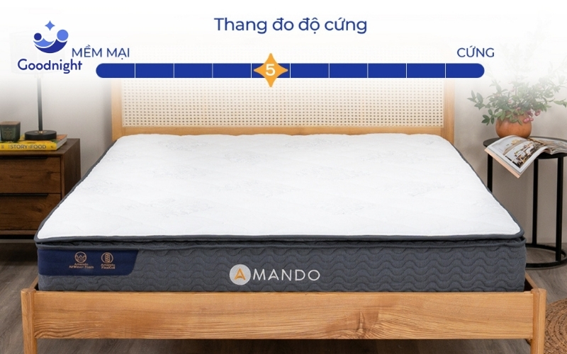 Kích thước nệm lò xo phổ biến trên thị trường hiện nay 5 Nệm lò xo Amando Elite Original nâng đỡ cột sống tối ưu