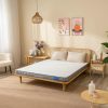 Nệm cao su Goodnight Latex Hybrid (Rena) công nghệ Active Support 2 Nệm Goodnight Latex Hybrid (Rena)