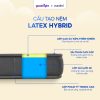 Nệm cao su Goodnight Latex Hybrid (Rena) công nghệ Active Support 4 Cao su thiên nhiên và PU Foam