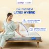 Nệm cao su Goodnight Latex Hybrid (Rena) công nghệ Active Support 5 Nệm Goodnight Latex Hybrid (Rena) nâng đỡ tốt