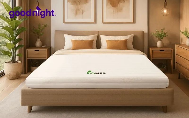 Nệm cao su Gummi 7zones nhập khẩu