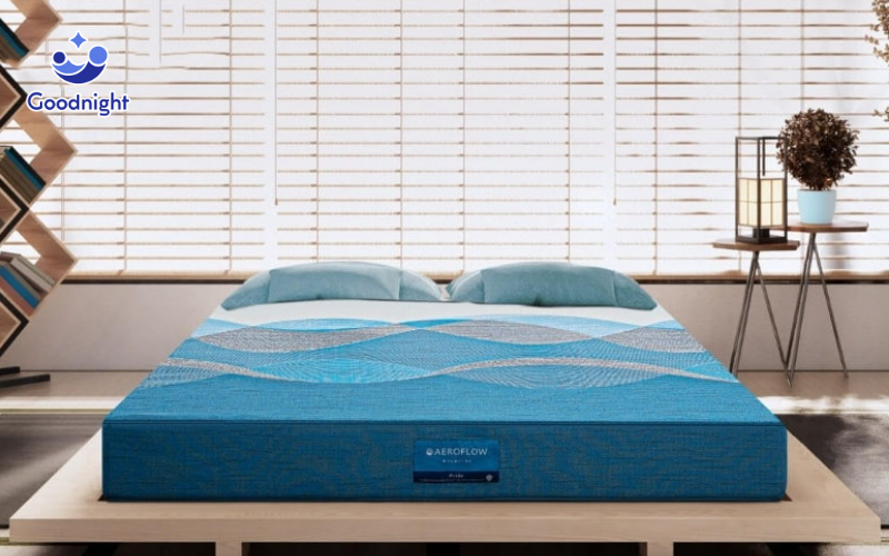 Nệm Foam Vua Nệm - Giải pháp cho giấc ngủ sâu, sức khỏe tốt 11 Aeroflow Pride