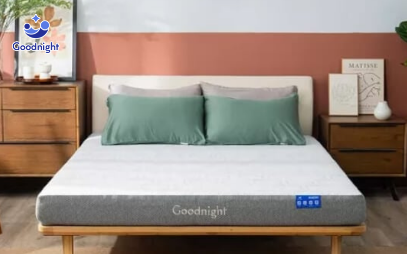 Nệm Foam Vua Nệm - Giải pháp cho giấc ngủ sâu, sức khỏe tốt 3 Goodnight Hachi