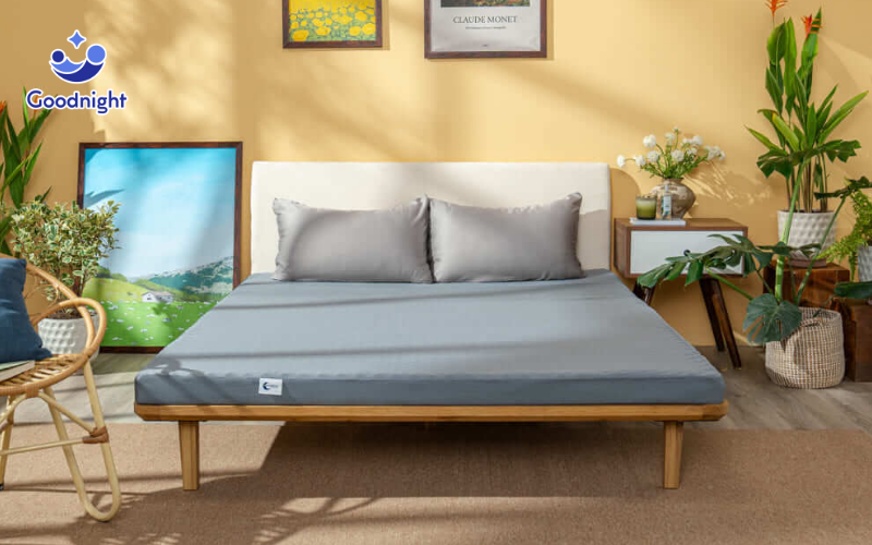 Nệm Foam Vua Nệm - Giải pháp cho giấc ngủ sâu, sức khỏe tốt 4 Goodnight Osaka
