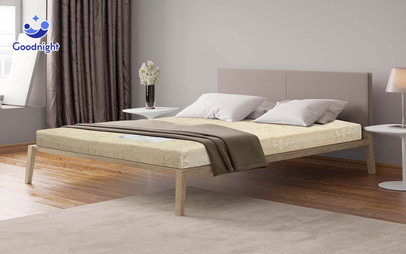Nệm Foam Vua Nệm - Giải pháp cho giấc ngủ sâu, sức khỏe tốt 5 Nệm Goodnight Eva