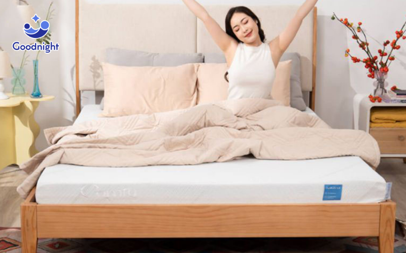 Nệm Foam Vua Nệm - Giải pháp cho giấc ngủ sâu, sức khỏe tốt 9 Comfy Lux 1.0
