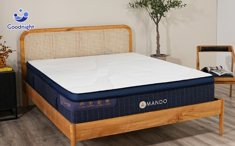 Top 5 mẫu nệm lò xo 30cm chất lượng, đáng mua hiện nay 4 Nệm lò xo Amando Innovation dày 30cm tích hợp công nghệ độc đáo