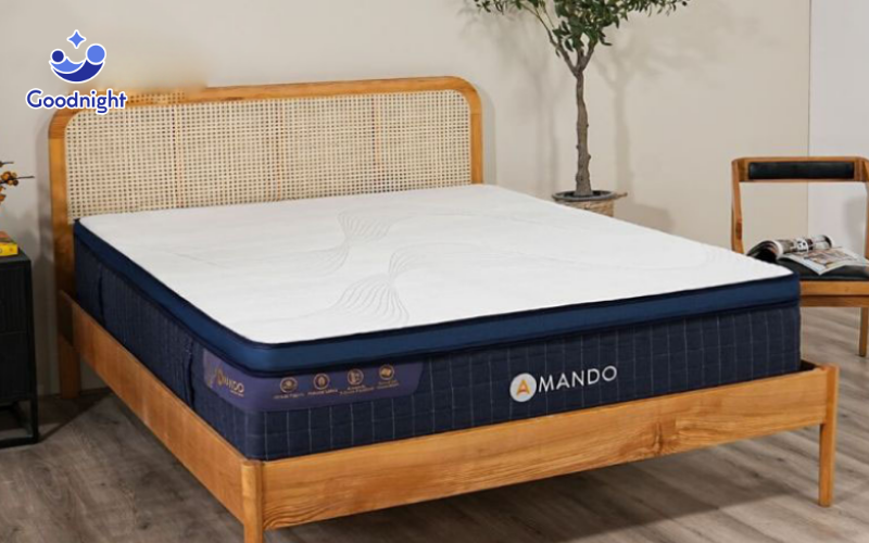 Vua Nệm - Địa chỉ bán nệm lò xo Đà Nẵng uy tín chất lượng 3 Nệm lò xo Amando Innovation