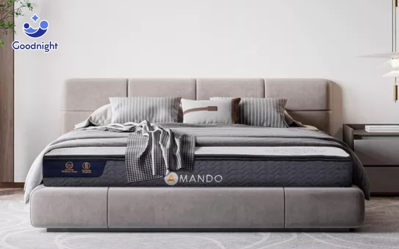 Top 5 nệm lò xò dày 20cm chất lượng đáng đầu tư 5 Nệm lò xo dày Amando Elite Plus túi độc lập mang đến giấc ngủ êm ái