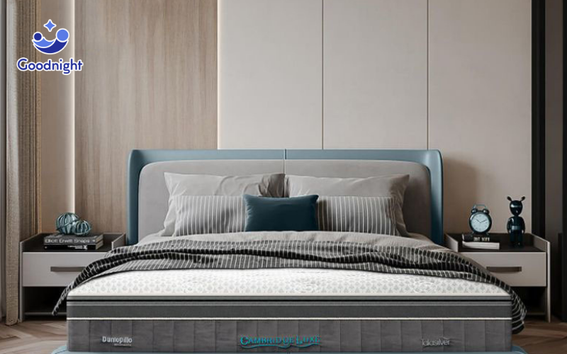 Nệm lò xo nằm có tốt không? Có nên mua nệm lò xo không? 6 Nệm Dunlopillo Cambridge Luxe