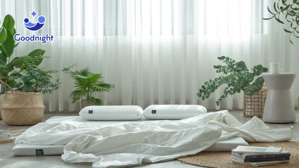 Top 3 mẫu nệm nằm đất chất lượng bạn không nên bỏ qua