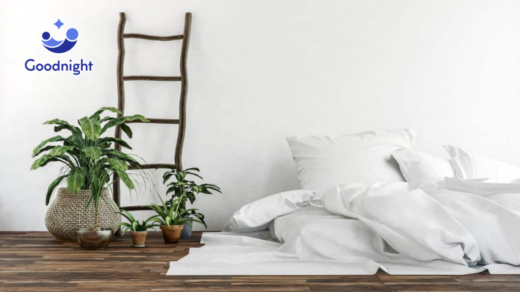Nằm nệm dưới đất có tốt không?
