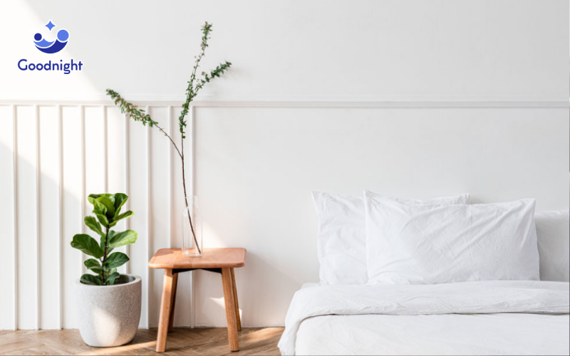 Nằm nệm dưới đất có tốt không? 5 Lưu ý bạn cần biết 5 Lựa chọn kích thước nệm phù hợp