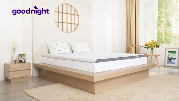 Nệm PU Foam là gì? Đối tượng nào có thể sử dụng nệm PU Foam?