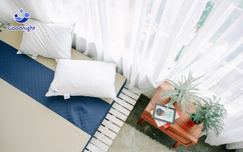Nệm PU Foam là gì? Đối tượng nào có thể sử dụng nệm PU Foam? 9 Color Foam Goodnight