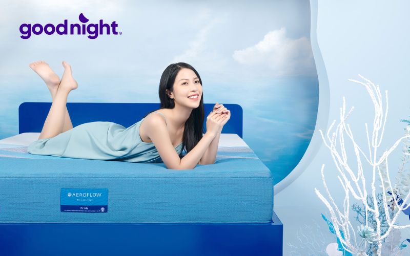 Nệm foam Aeroflow Pride