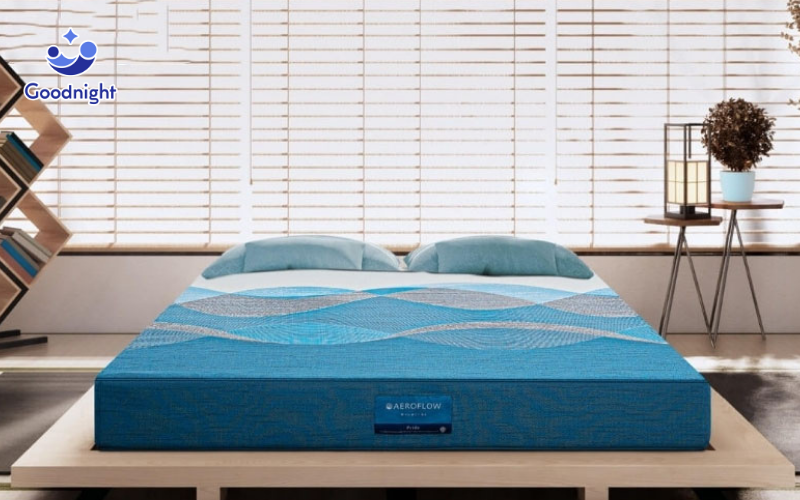 Nên mua nệm foam hãng nào? Top 10 nệm foam tốt năm 2025 12 Aeroflow Pride