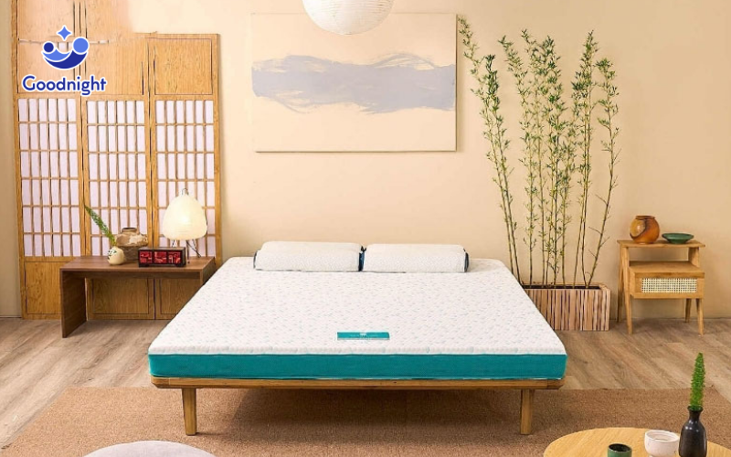 Nên mua nệm foam hãng nào? Top 10 nệm foam tốt năm 2025 13 Nệm Aeroflow Standard
