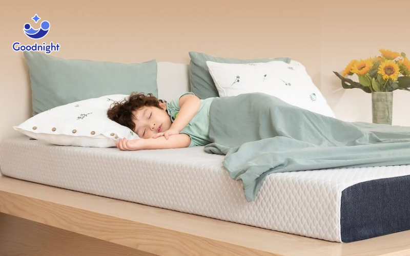 Nên mua nệm foam hãng nào? Top 10 nệm foam tốt năm 2025 3 Nên mua nệm foam hãng nào tốt?