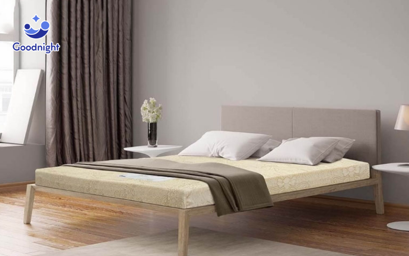 Nên mua nệm foam hãng nào? Top 10 nệm foam tốt năm 2025 6 Nệm Goodnight Eva
