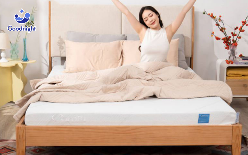 Nên mua nệm foam hãng nào? Top 10 nệm foam tốt năm 2025 10 Nệm Foam Comfy Lux 1.0