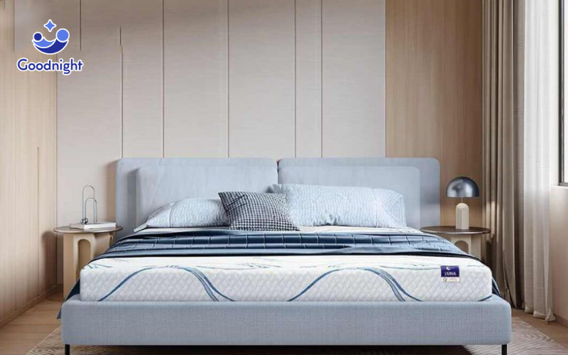 So sánh nệm foam và bông ép loại nào tốt? Nên mua loại nào? 8 Nệm bông ép Goodnight Nova