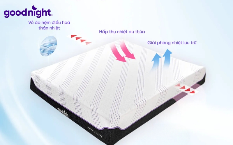 Cấu trúc foam với hệ thống lỗ thoáng khí giúp không khí lưu thông liên tục