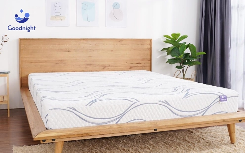 Lý do nằm nệm lò xo đau lưng và giải pháp cải thiện 8 Nệm foam Goodnight Luna 3 vùng massage kháng khuẩn
