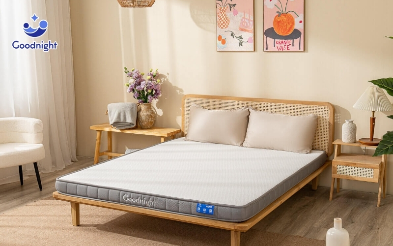 Lý do nằm nệm lò xo đau lưng và giải pháp cải thiện 6 Nệm cao su nhiều lớp Goodnight Rena nâng đỡ tốt và êm ái