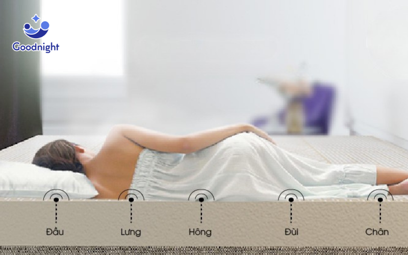Lý do nằm nệm lò xo đau lưng và giải pháp cải thiện 12 Yếu tố quan trọng khi chọn nệm cho người đau lưng là sự hỗ trợ cho lưng dưới