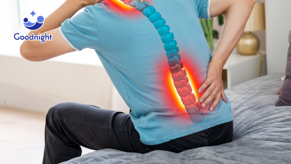 Lý do nằm nệm lò xo đau lưng và giải pháp cải thiện