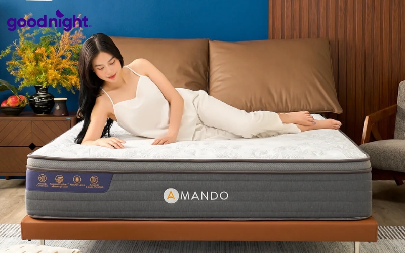 Nguyên nhân nằm nệm lò xo đau lưng & Cách khắc phục 9 Amando Elite Grand