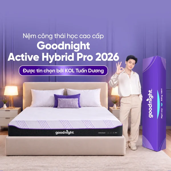Tổng hợp giá nệm 1m2x1m8 (120×180) phổ biến trên thị trường 7 Nệm Foam Goodnight Active Hybrid công nghệ làm mát KIKOO từ Đức