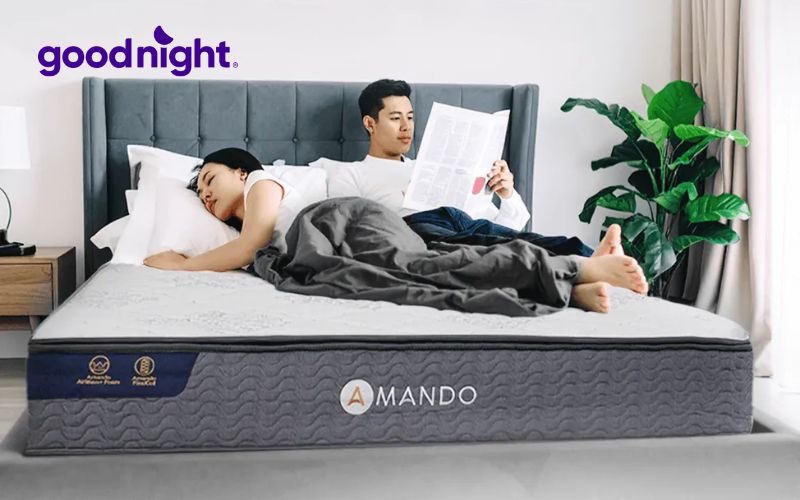 Điểm danh 6 khổ nệm, kích thước nệm tiêu chuẩn hiện nay 7 Amando Elite Original đầy đủ kích thước mang đến giấc ngủ êm ái
