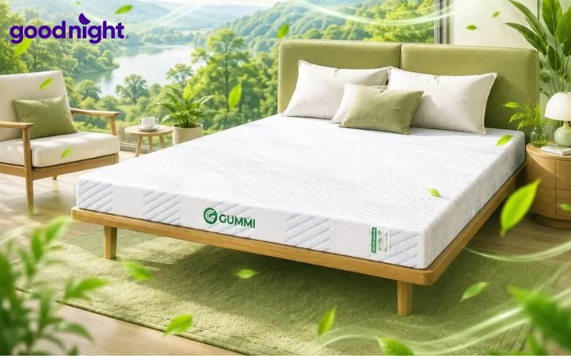Cao su thiên nhiên: Phân loại, ứng dụng & 5 mẫu nệm chất lượng 9 Đệm cao su thiên nhiên thường có mùi cao su tự nhiên nhẹ, không quá nồng