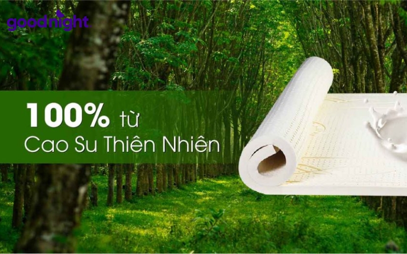 Cao su thiên nhiên: Phân loại, ứng dụng & 5 mẫu nệm chất lượng 2 Cao su thiên nhiên là một loại polymer có nguồn gốc từ mủ cây cao su