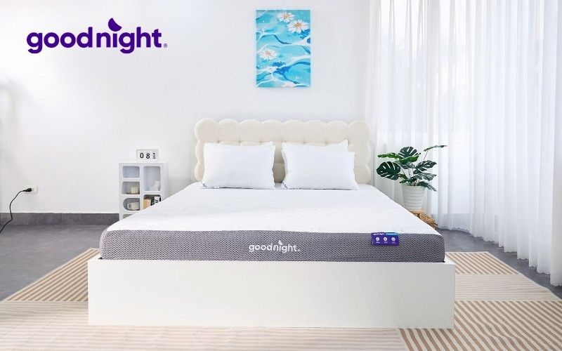 Review 8 mẫu nệm cho người thoát vị đĩa đệm tốt hiện nay 15 Lựa chọn nệm có độ đàn hồi phù hợp