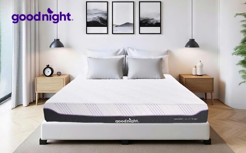Review 8 mẫu nệm cho người thoát vị đĩa đệm tốt hiện nay 18 Mua nệm cho người thoát vị đĩa đệm uy tín chất lượng tại Goodnight