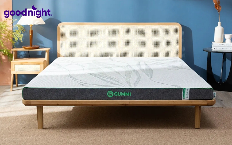 Nệm cao su 1 người nằm - TOP 5 mẫu sản phẩm bán chạy 2026 3 Nệm cao su thiên nhiên